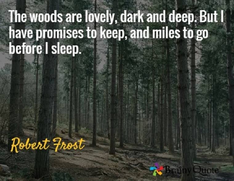 Promises Robert Frost - God's Promises