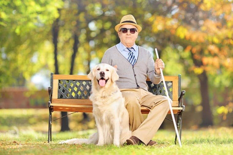 blind man with seeing eye dog - walking by faith