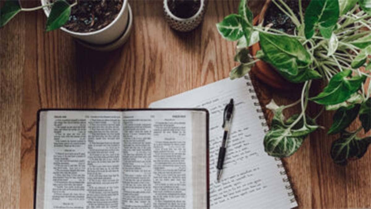 Bible Study Basics: How to Apply The Bible To Your Life