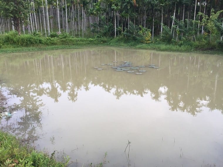 Love Children Home Orphanage Pond - share Christ