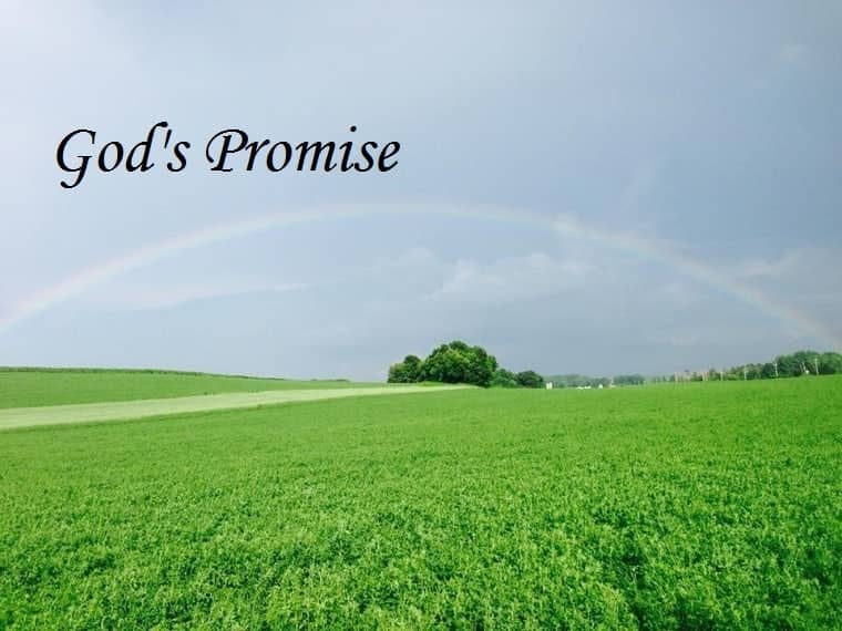 God's promise - rainbow
