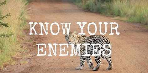 know your enemies