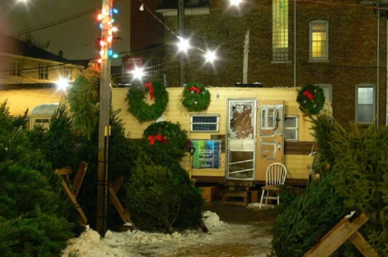 Christmas tradition - Christmas tree lot